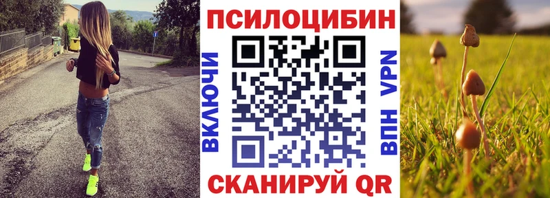 сайты даркнета телеграм  гидра ссылки  Камбарка  закладки  Псилоцибиновые грибы Cubensis 